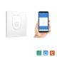 BlitzWolf BW-SS9 - Intelligenter Wandlicht-Touch-Schalter mit 1-teiligem Schalter - Google Home, Amazon-Integrierbarkeit